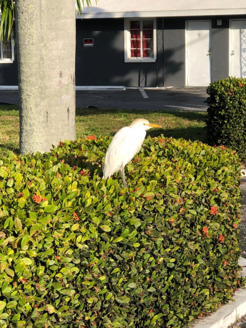 Bay Breeze Inn Bradenton Buitenkant foto